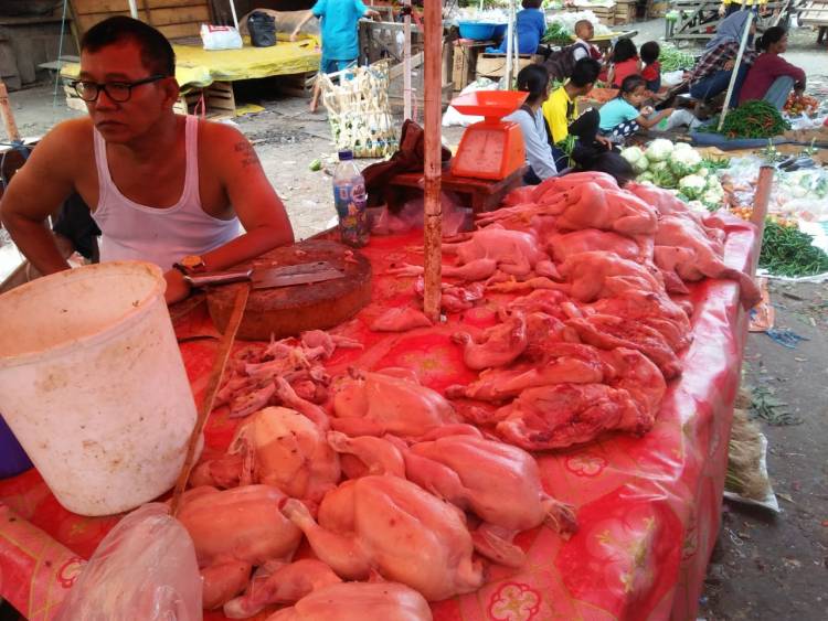 Harga Daging Ayam Turun di Jambi, Tapi Masih Sepi Pembeli