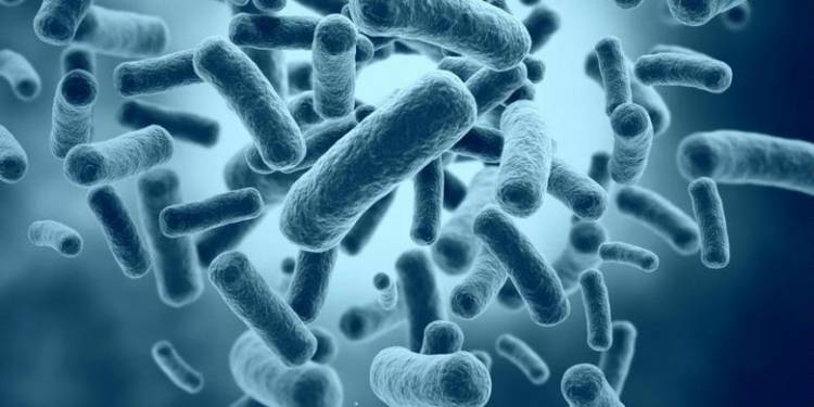 INFO KESEHATAN : Hati Hati Terhadap Kutil Kelamin Dan Penyebabnya