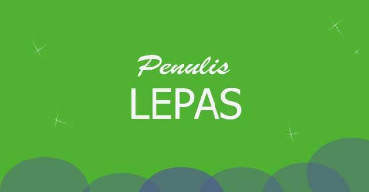 Cara Menghasilkan Uang dengan Menjadi Penulis Lepas Di Media Online, Mau ?