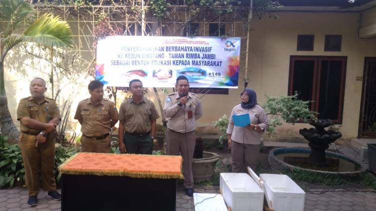 18 Ekor Ikan Alligator di Jambi Diserahkan ke Kebun Binatang Taman Rimba