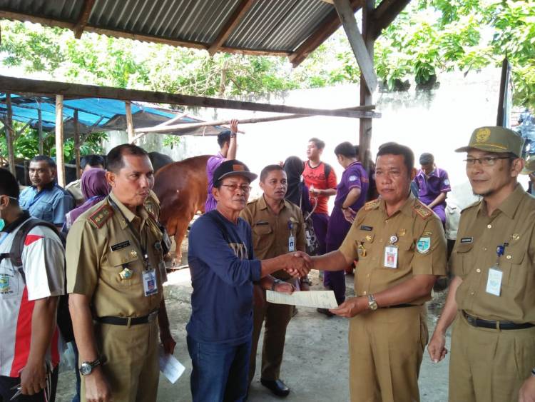 Dinas Peternakan Kota Jambi Periksa Hewan Kurban Secara Maraton