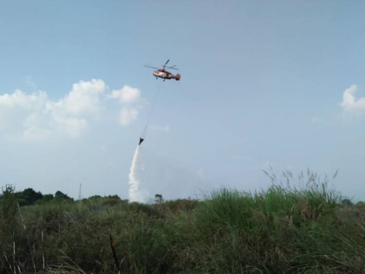 Helikopter Diturunkan Padamkan Kebakaran Dua Hektare Lahan di Seberang Kota Jambi