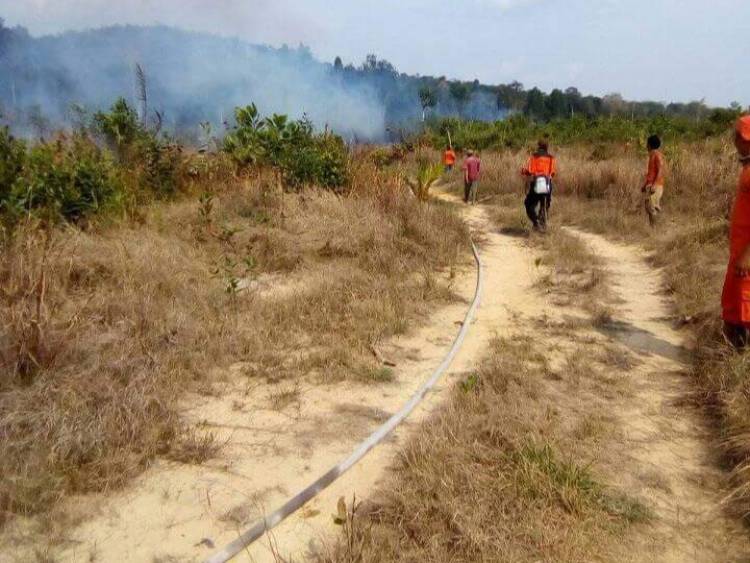 Hingga Pertengahan September Titik Api di Batanghari Meningkat