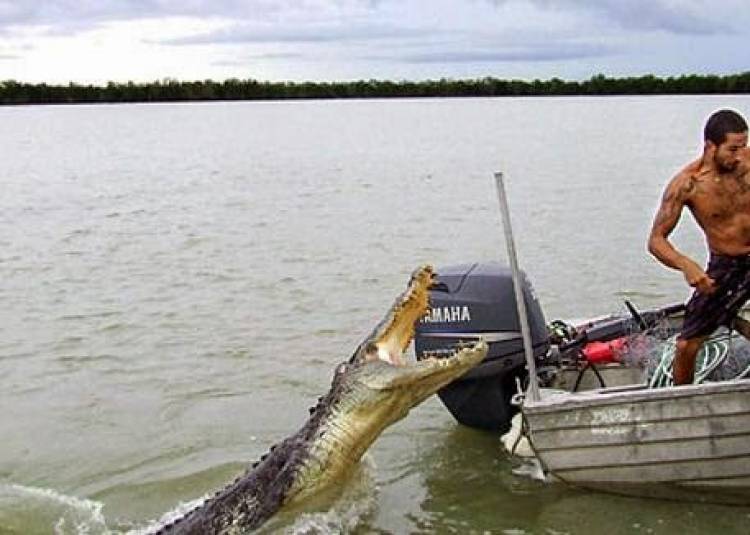 Dramatis! Remaja Pekanbaru Ini Behasil Selamat Setelah Melawan Terkaman Buaya
