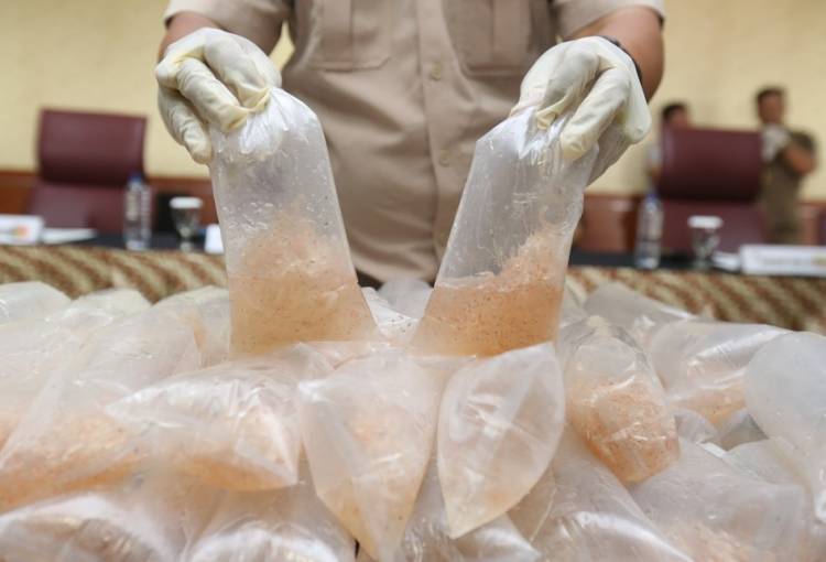 Polisi dan BKIPM Jambi Gagalkan Penyelundupan Baby Lobster Senilai Rp9,18 Miliar