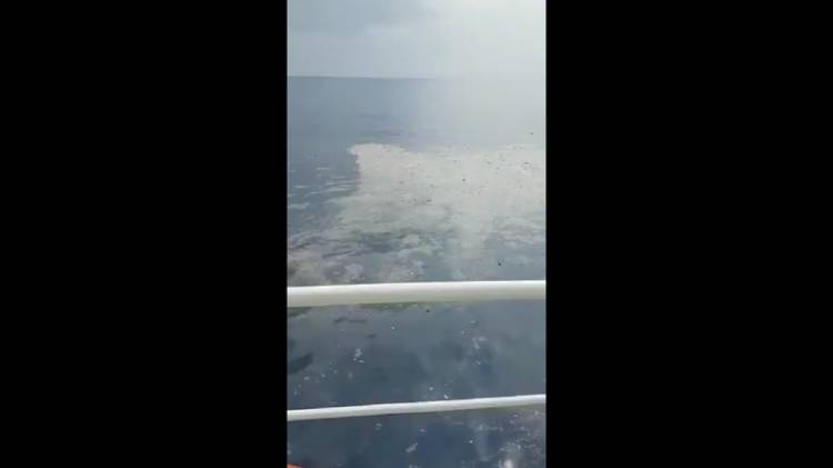 Sudah Ditemukan, Ini Penampakan Serpihan Pesawat Lion Air yang Jatuh