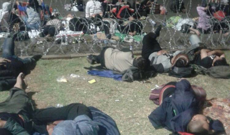 Di Depan Istana, Honorer Jambi Bersama Ribuan K2 se Indonesia Tuntut Diangkat jadi PNS  