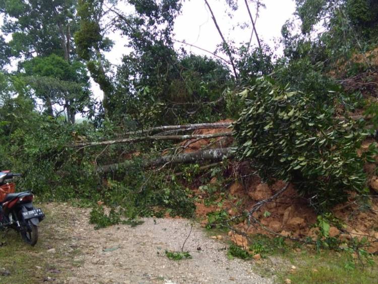 Hujan Deras, Tebing Pembatas Dua Desa di Merangin Longsor