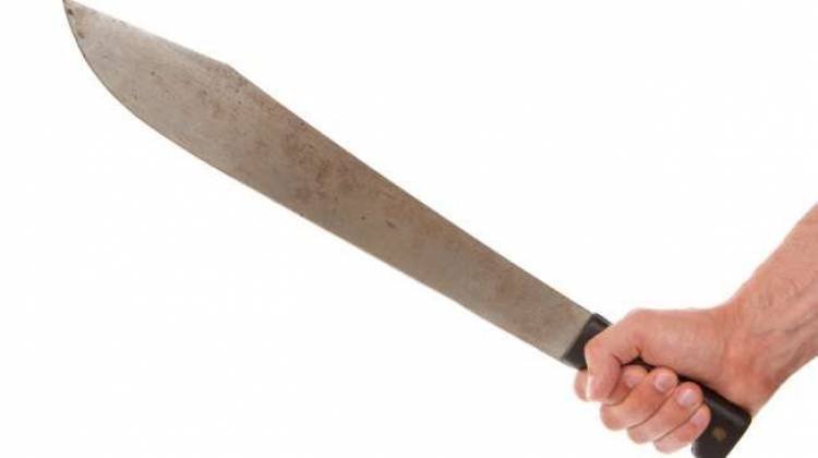 Lelaki Linglung Mengamuk, Balita Tewas Dibacok 