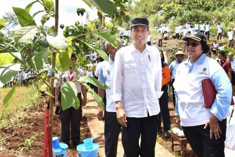 CAPPA: Festival PeSoNa 2018 Jambi Harus Mengaplikasikan Nawacita Jokowi