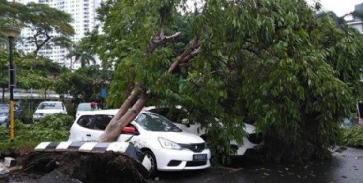 Sejumlah KRL Terganggu Akibat Pohon Tumbang, Hujan Es dan Hujan Badai