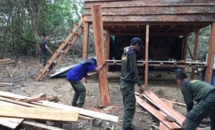 Dinas LH Batanghari Amankan Kayu Pembalakan Liar