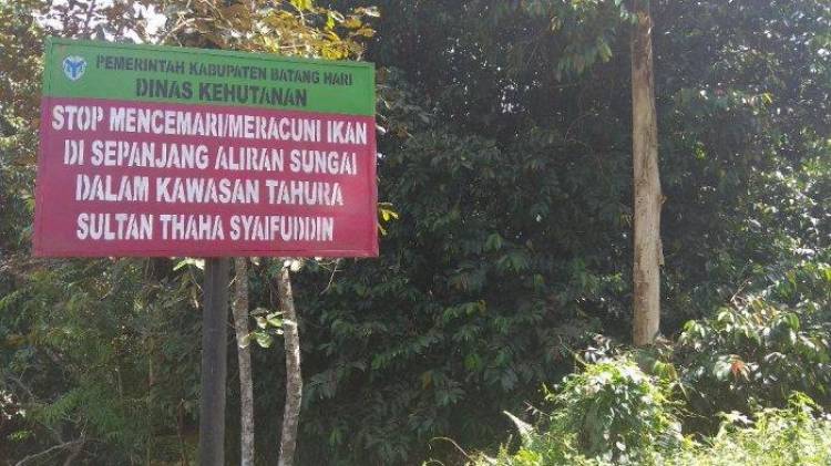 50 Hektar Kawasan Hutan Batanghari Direhabilitasi Pada 2019