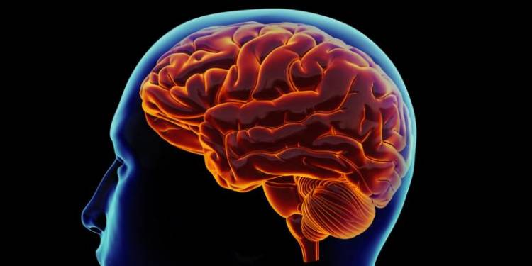 Dikira Tumor, Ternyata Infeksi Amuba Langka Pemakan Otak