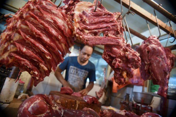 Asyik Impor Lagi! 2019, Indonesia bakal Masukkan 100 Ribu Ton Daging Kerbau India