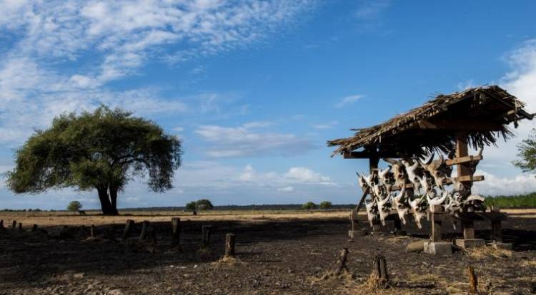 Tiga Taman Nasional Dibiayai Rp51 M Menggunakan SBSN 