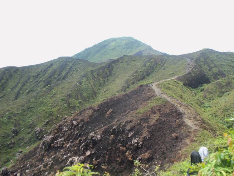 40 Hektare Kawasan Taman Wisata Alam Gunung Api Bukit Kaba Rusak, Ini Penyebanya…
