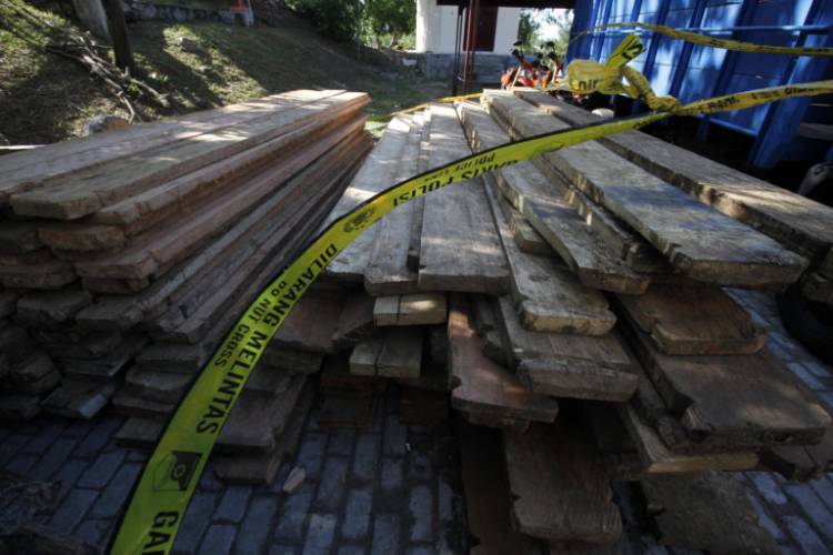 Dijarah di Merangin 27 Meter Kubik Kayu Ilegal Ini akan Dibawa Kesini... 