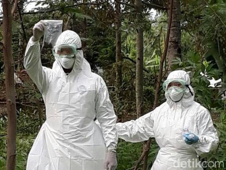 RS Dunda Rawat Pasien Diduga Terkena Antraks 