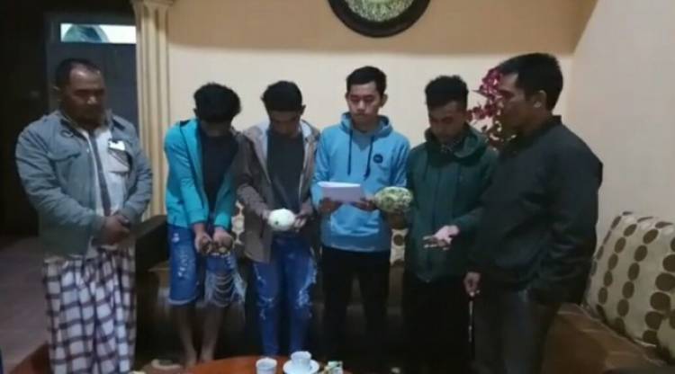 Minta Maaf, Ternyata Ini Penyebab Petani Kerinci Membuang Sayuran di Jalan 