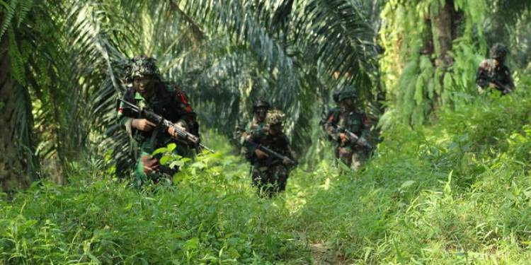 Lagi, Seorang Anggota TNI Tewas Diberondong KKB di Mapenduma Nduga