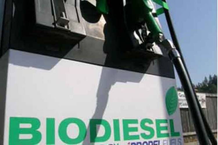 Alokasi Biodiesel 2019 Sebesar 6.197.101 KL