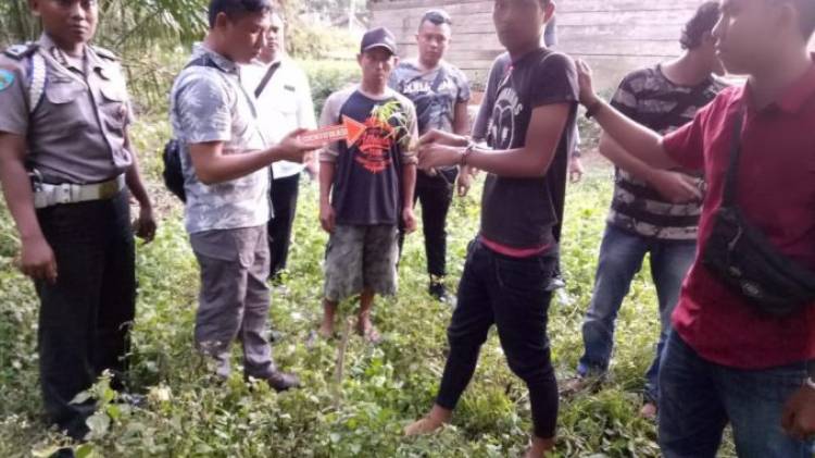 Ada Ladang Ganja di Tebo dan Tanjung Jabung Barat
