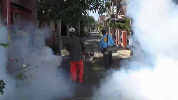 Dinkes: Dua Warga Trenggalek Meninggal Akibat DBD