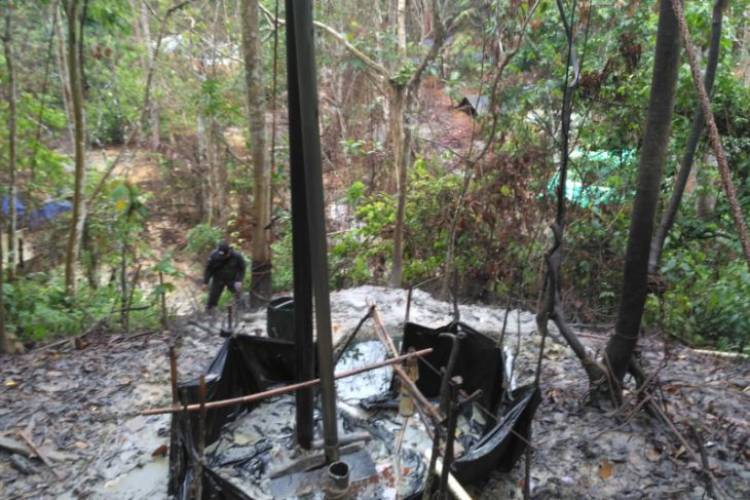 Taman Hutan Rakyat Pun Dirambah Penambangan Minyak Illegal di Batanghari