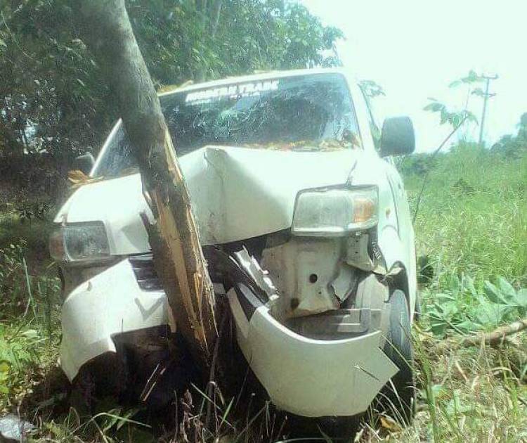 Aduh! Mobil Sales Rokok Tabrak Batang Karet Warga Tembesi Hingga Hancur