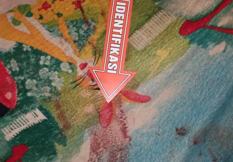 Tolak Permintaan "Gituan", PSK di Merangin Ini Tewas Dibunuh