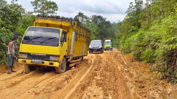 Angkutan PT BKS Sinar Mas Grup Picu Kerusakan Parah Jalan Air Hitam Sarolangun