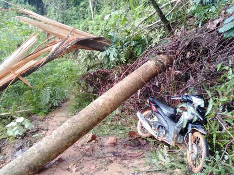 Empat Desa di Sarolangun Terisolir, Akses Jalan Marga Bukit Bulan Tertutup Longsor
