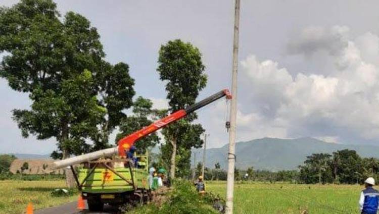 Angin Kencang Bikin 93.325 Pelanggan PLN Jember Kehilangan Listrik