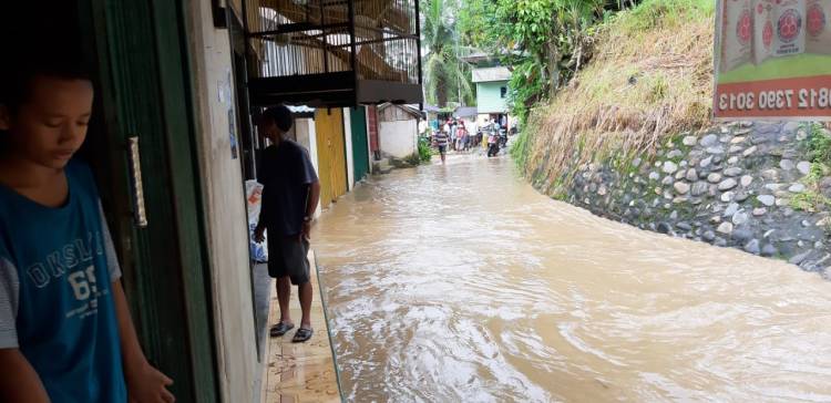 Hujan Lebat Rumah dan Sawah di Batangasai Sarolangun Terendam Banjir