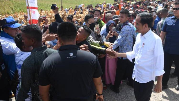 Jokowi Sebut 70 Juta Tanah Milik Belum Bersertifikat