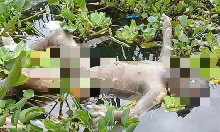 Lima Hari Tenggelam di Batang Merao, Jenazah Hafiz Ditemukan di Danau Kerinci