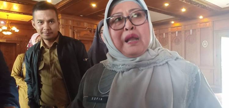 Diperiksa Harta Kekayaan, Sofia Fattah: 2017 Ado 6 Miliar, Kayo Kan?