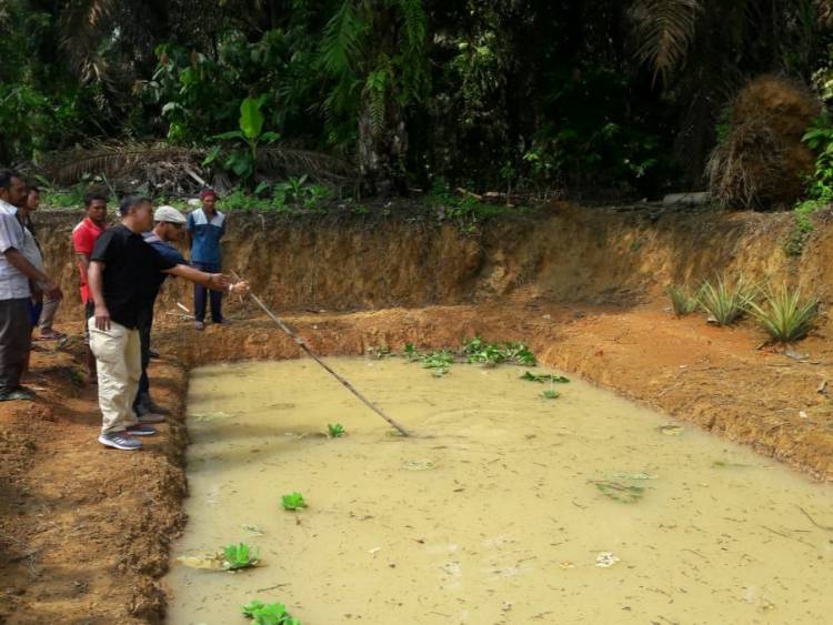 Ditinggal Sebentar, Bocah 5 Tahun Ditemukan Tewas di Kolam Ikan