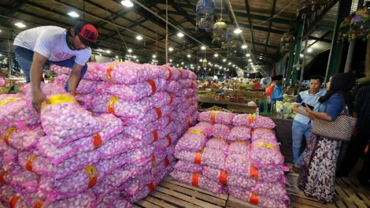 Duhh! Impor Bawang Putih Hingga 100 Ribu Ton, Begini Kata Pengamat