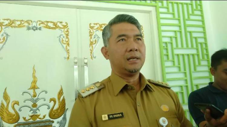 Soal Benang Kusut BPJS, Fasha: Kalau Cerita BPJS Saya Mulai Sakit Perut