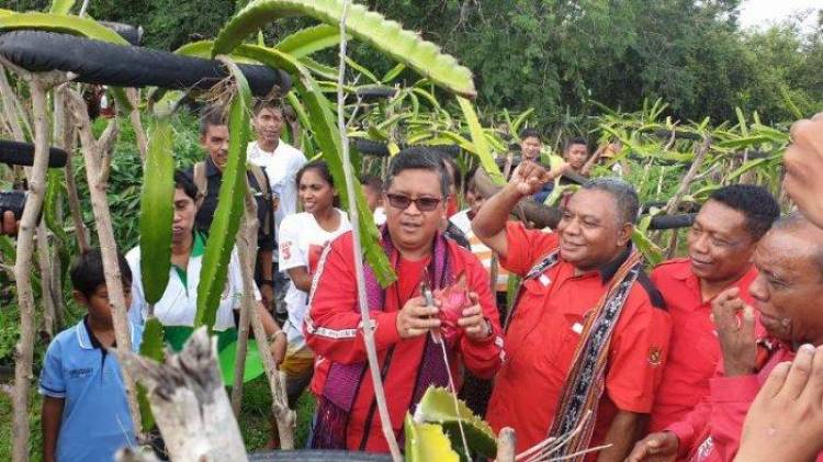 Soal Ucapan Prabowo, Hasto: Kita Tak Beri Toleransi Koruptor, Apalagi Beri Dana Pensiun