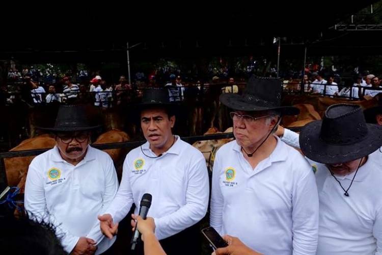 Warga Tagih Janji Menteri Pertanian Pengembangan Kembali Sapi di Konawe