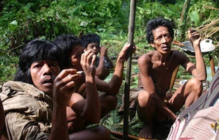 588 Warga SAD Batanghari Tak Dapat Berikan Hak Suara