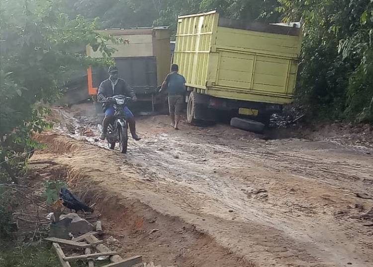 Lapor Bupati, Sawit Warga Busuk Tak Bisa Dijual Karena Jalan di Bajubang Rusak Parah 