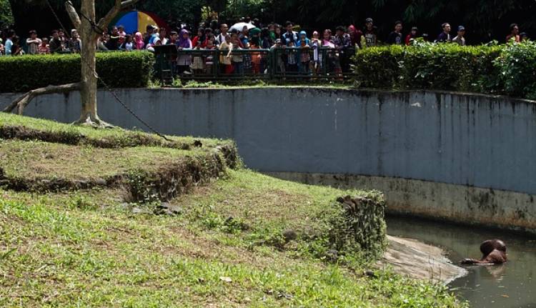 Cukup Tunjukkan Jari, Pengunjung Nyoblos Pemilu Gratis Masuk Ragunan