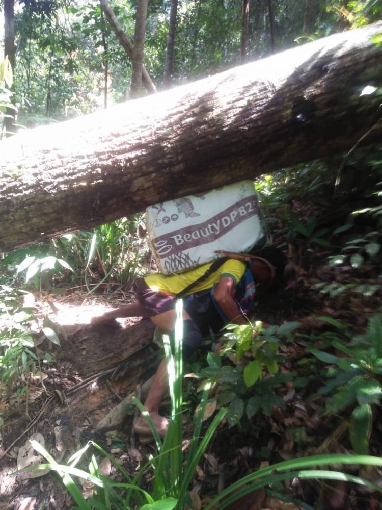 Melintas Hutan, Petugas Logistik Pemilu Pikul Kotak Suara Hingga 7 Jam