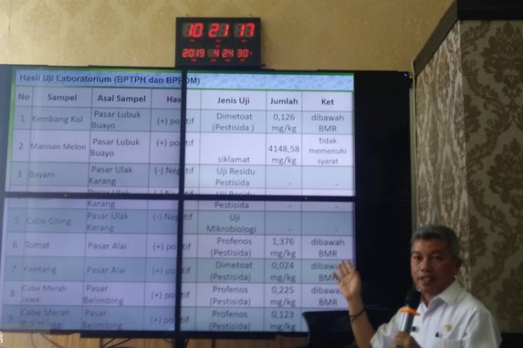 Setengah Ton Daging Babi Dipasarkan di Padang Setiap Pekan