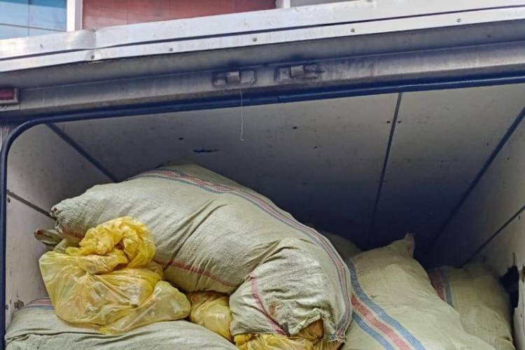 BNN Temukan 300 Kg Ganja Diselipkan di Antara Karung Limbah Medis B3