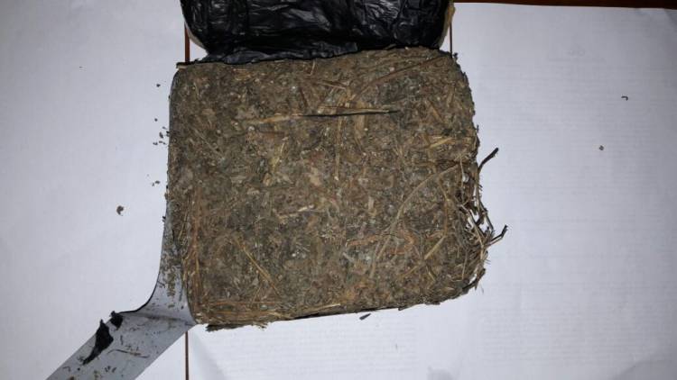 Kirim Ganja 8 Kilo Lewat J&T dari Jawa ke Jambi, 2 Pemuda Divonis 14 Tahun